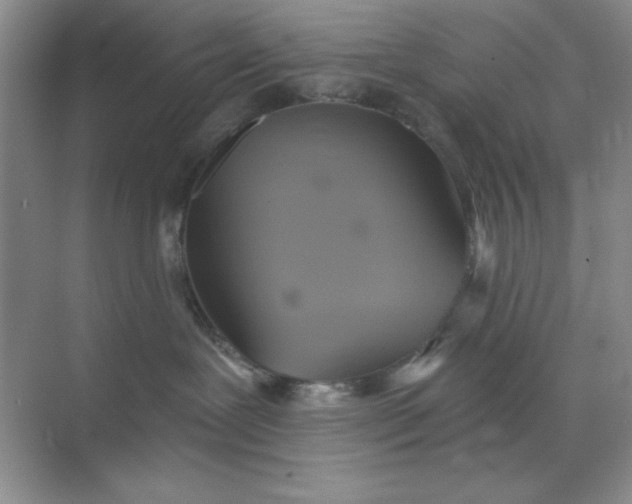 X0000071910239200607212050