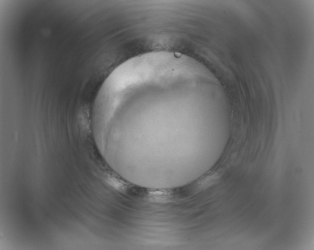 X0000071910240200607212050