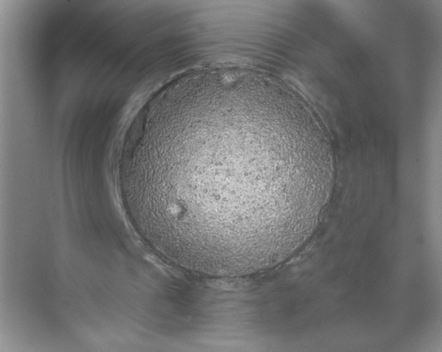 X0000071910241200607212049