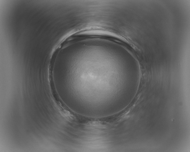 X0000071910244200607212049