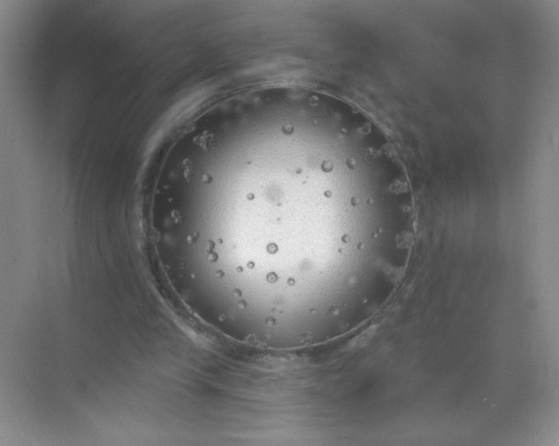 X0000071910245200607212049