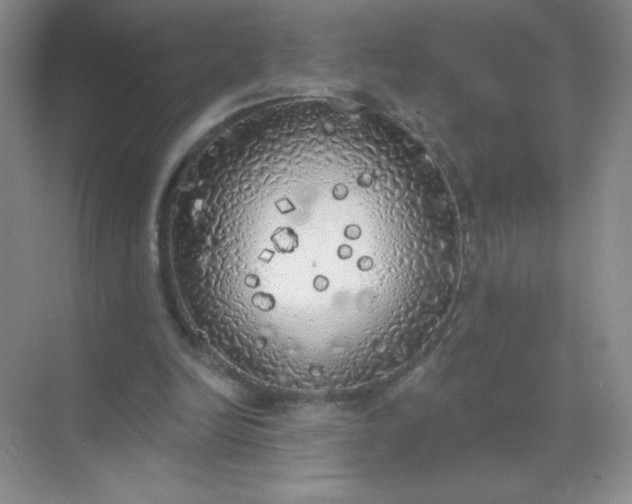 X0000071910246200607212049