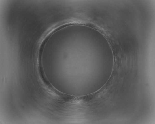 X0000071910247200607212049