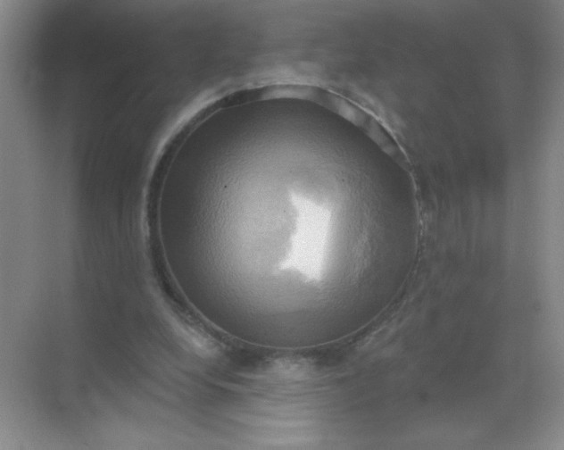 X0000071910248200607212049