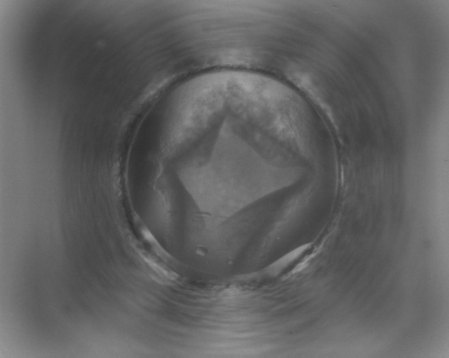 X0000071910249200607212049