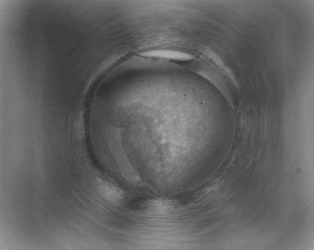 X0000071910250200607212049