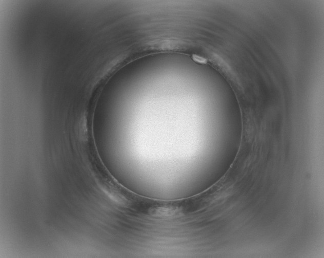 X0000071910251200607212049