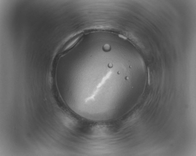 X0000071910252200607212050