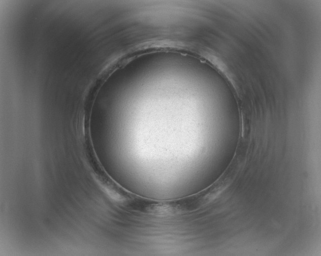 X0000071910253200607212050