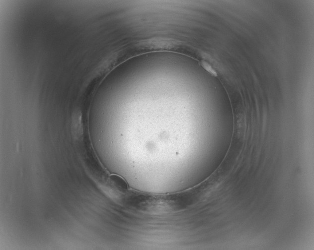 X0000071910254200607212050