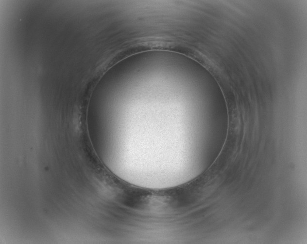 X0000071910255200607212050