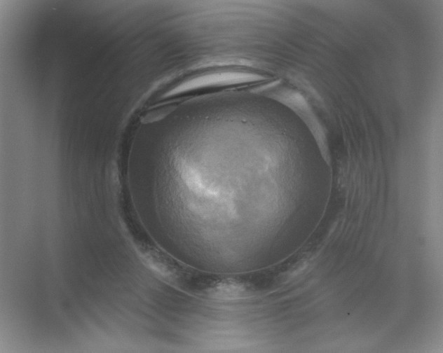 X0000071910256200607212050