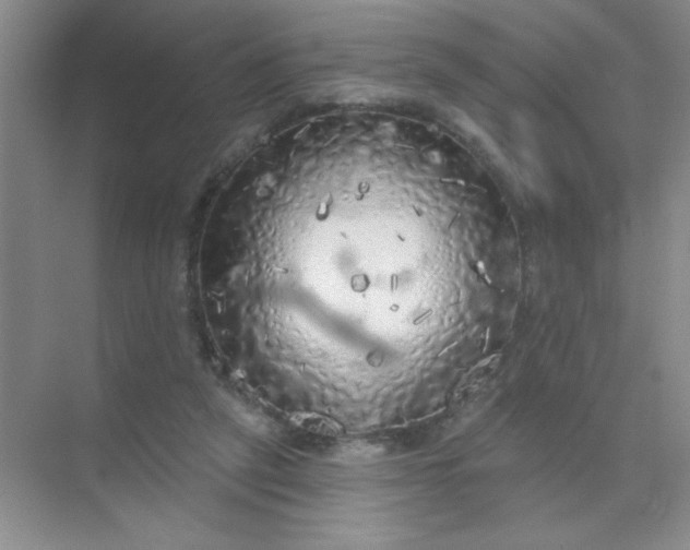 X0000071910257200607212050