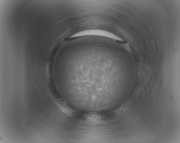 X0000071910258200607212050