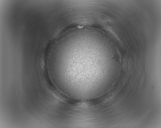 X0000071910259200607212050