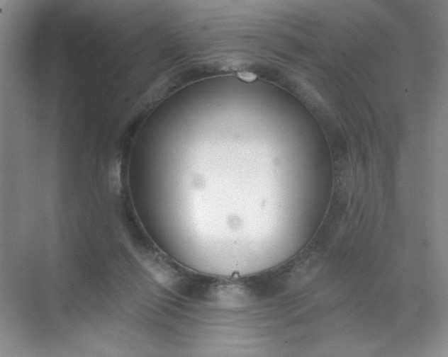 X0000071910262200607212050