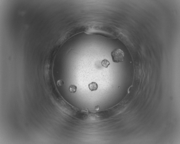 X0000071910263200607212050