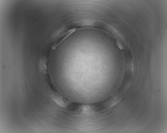 X0000071910264200607212050