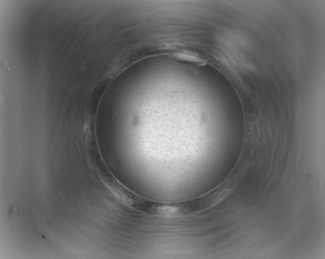 X0000071910265200607212050