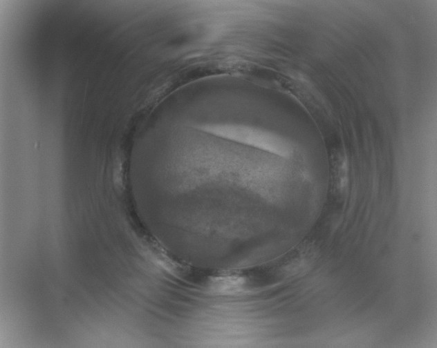 X0000071910266200607212050