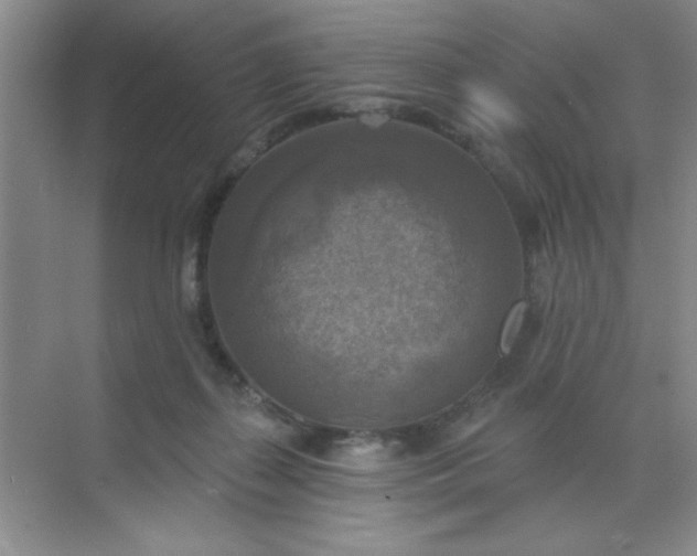 X0000071910267200607212050