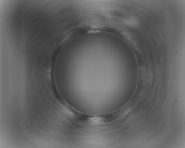 X0000071910269200607212050