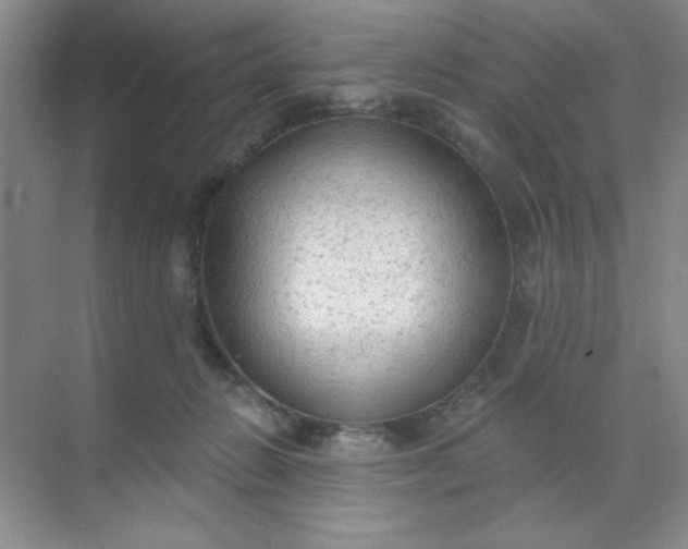 X0000071910270200607212050