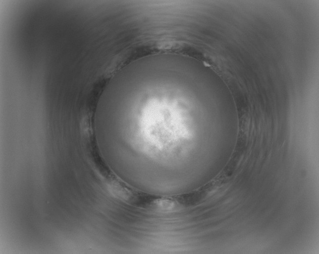 X0000071910272200607212050