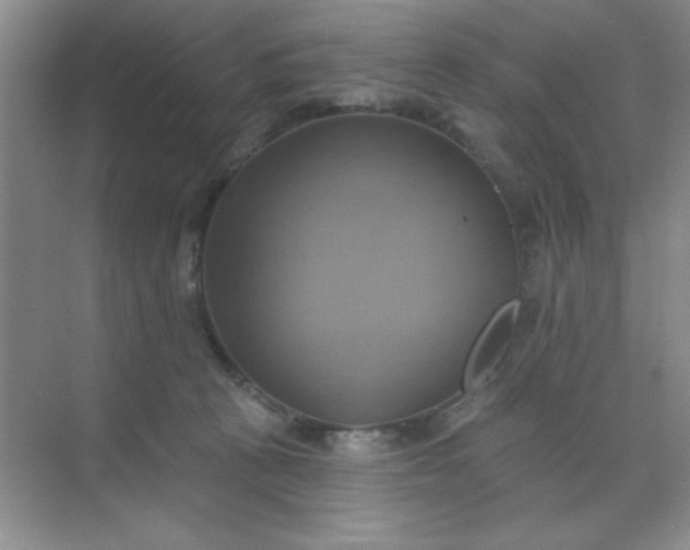 X0000071910273200607212050