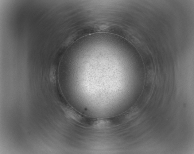 X0000071910274200607212050