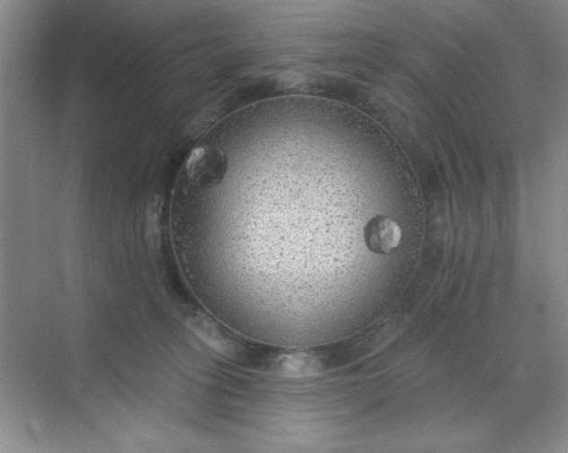 X0000071910275200607212050