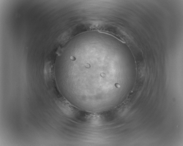 X0000071910276200607212050