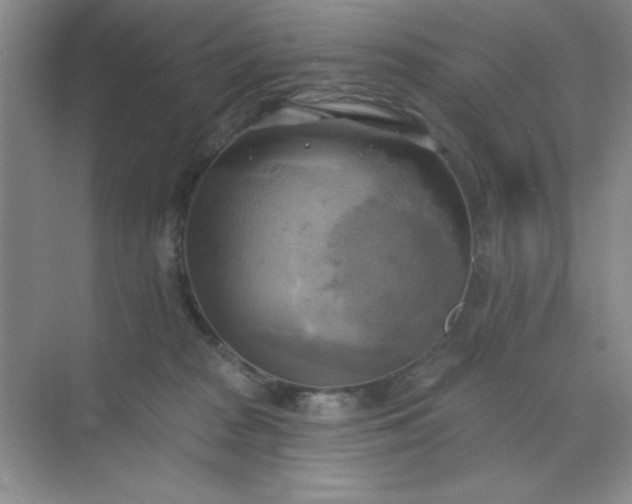 X0000071910277200607212050