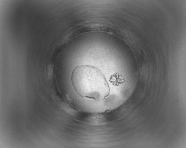 X0000071910278200607212050