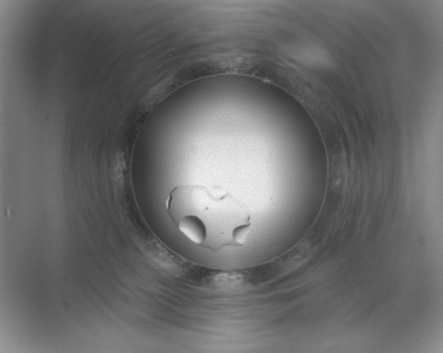 X0000071910279200607212050