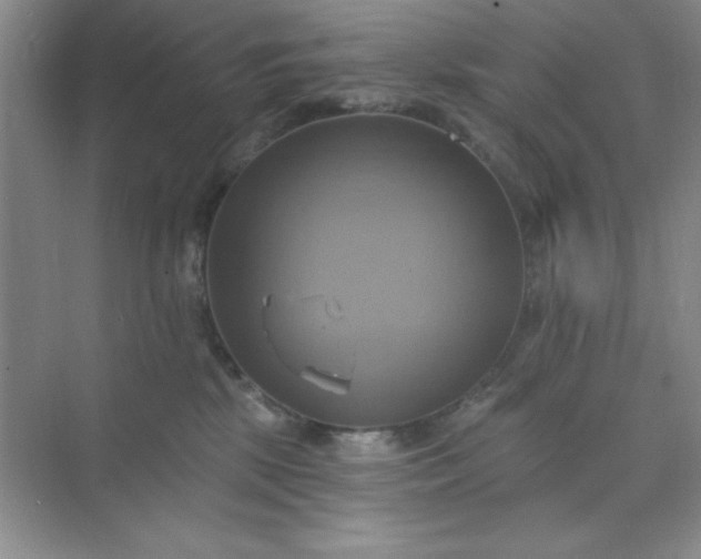 X0000071910281200607212050