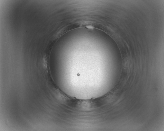 X0000071910282200607212050