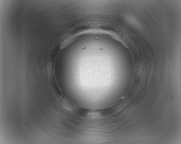 X0000071910283200607212050