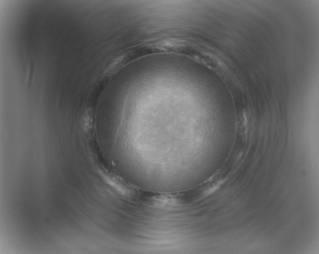 X0000071910284200607212050