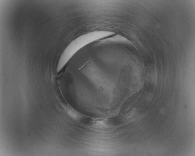 X0000071910285200607212050