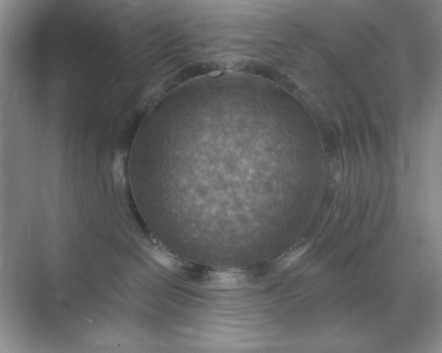 X0000071910286200607212050