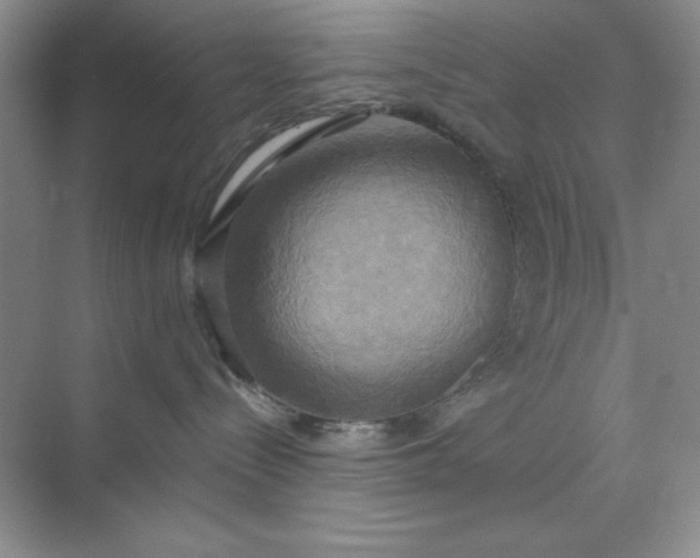 X0000071910288200607212050