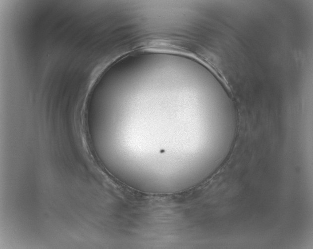 X0000071910289200607212049