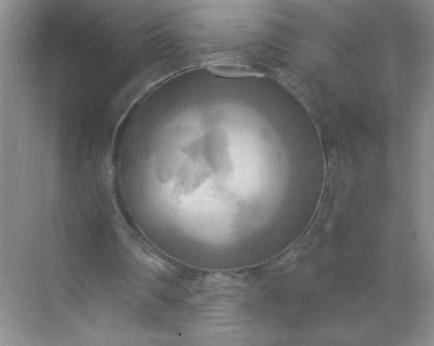 X0000071910290200607212049