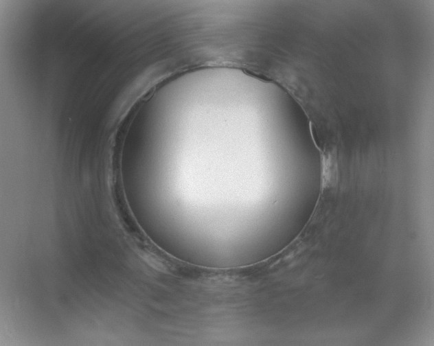 X0000071910291200607212049