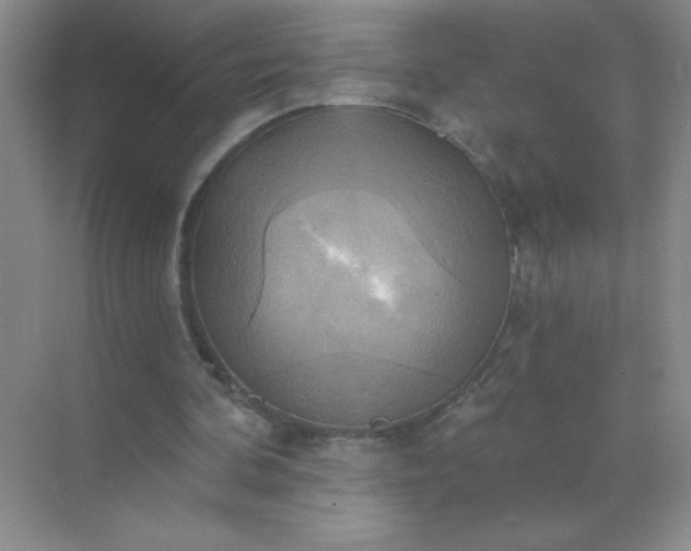 X0000071910292200607212049