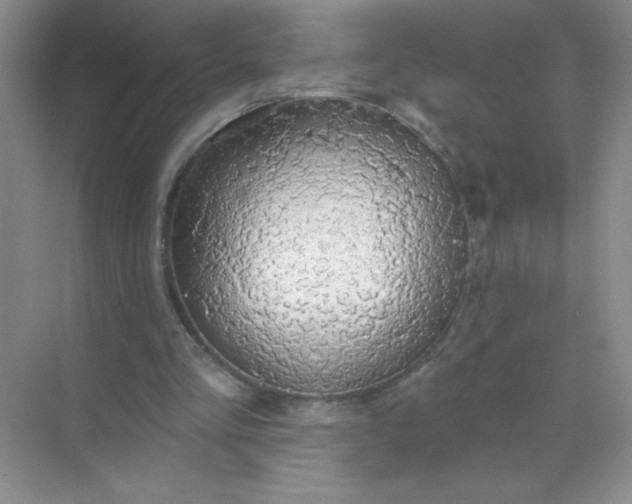 X0000071910293200607212049