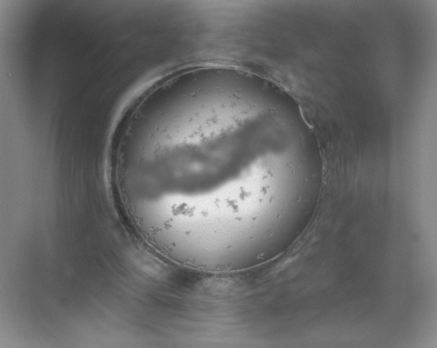 X0000071910294200607212049