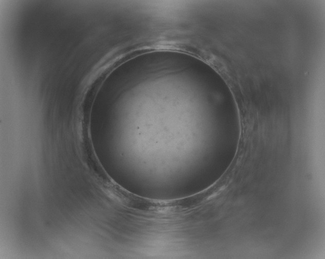 X0000071910295200607212049