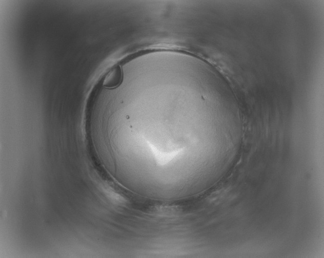 X0000071910296200607212049